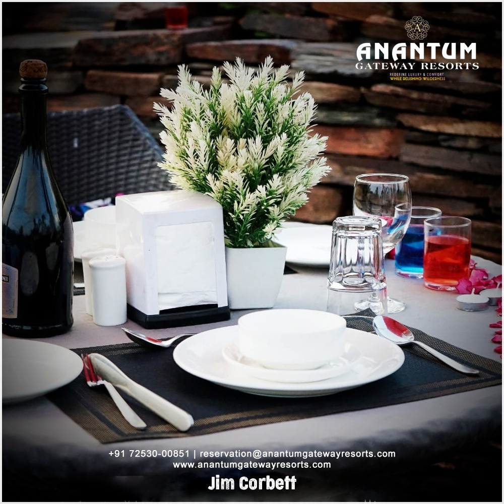 Birthday Party Celebration in Jim Corbett Resort